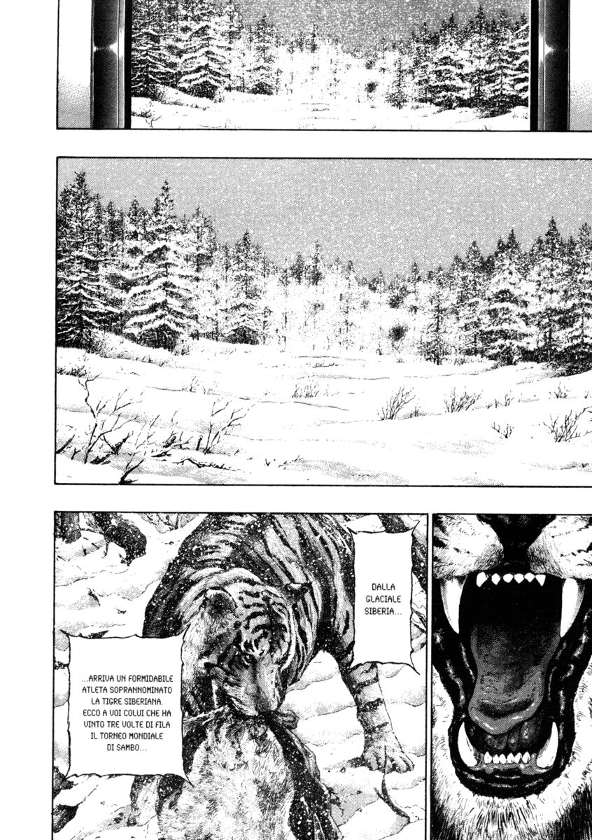 Read Shamo Manga Online