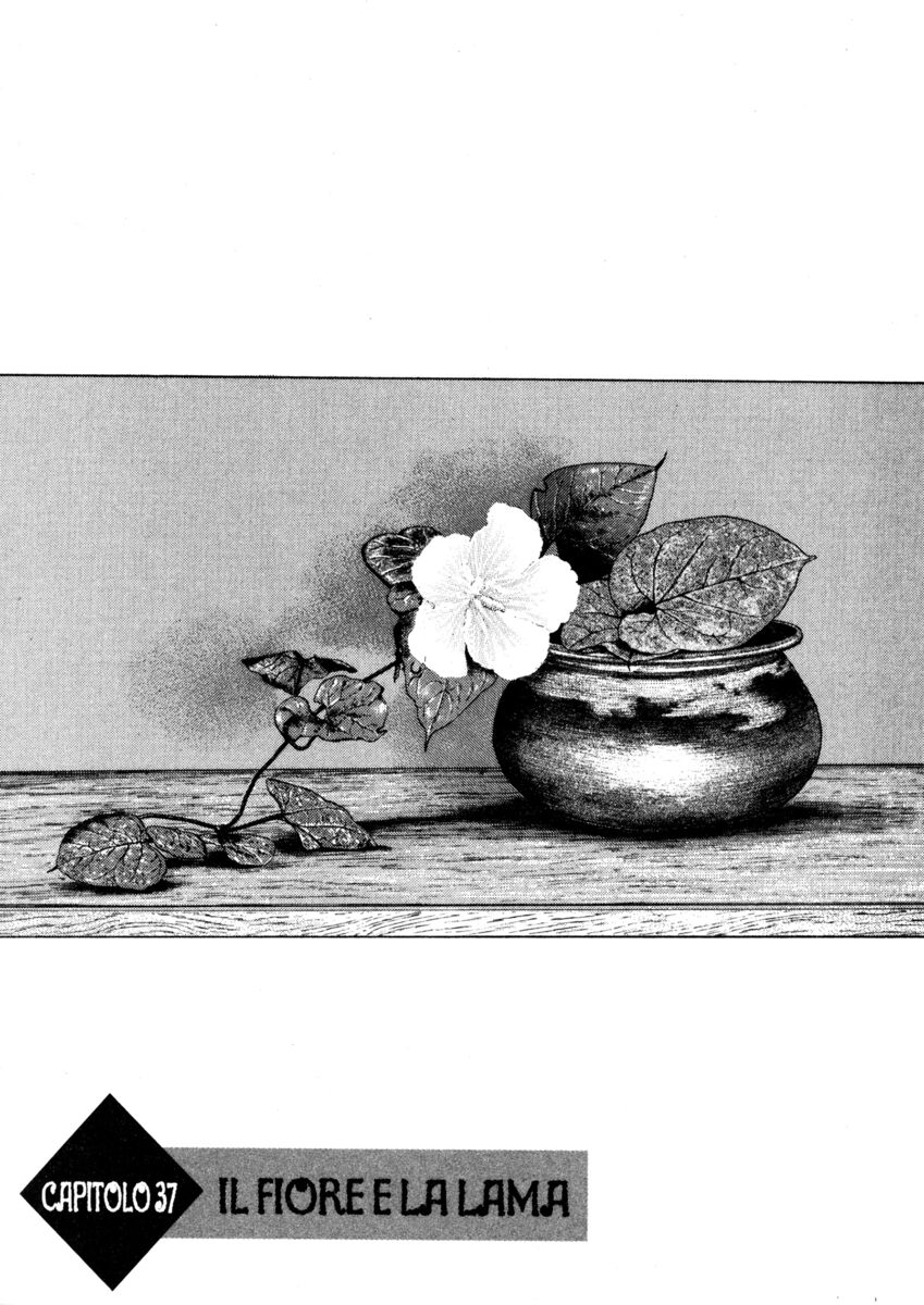 Read Shamo Manga Online