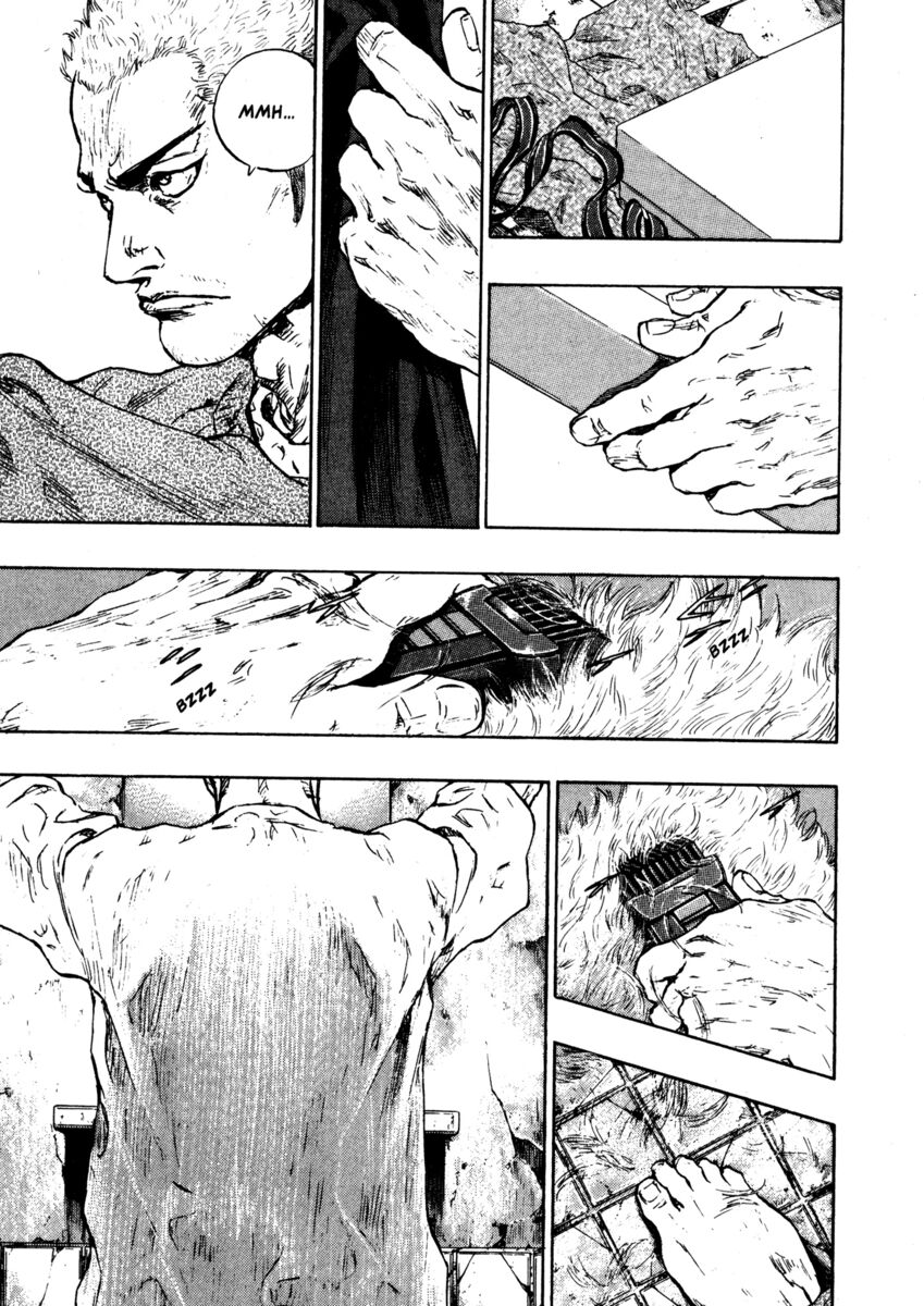 Read Shamo Manga Online