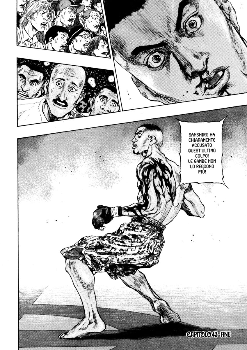 Read Shamo Manga Online