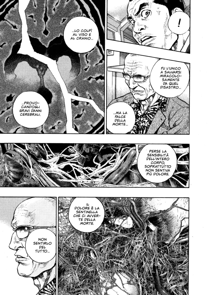 Read Shamo Manga Online
