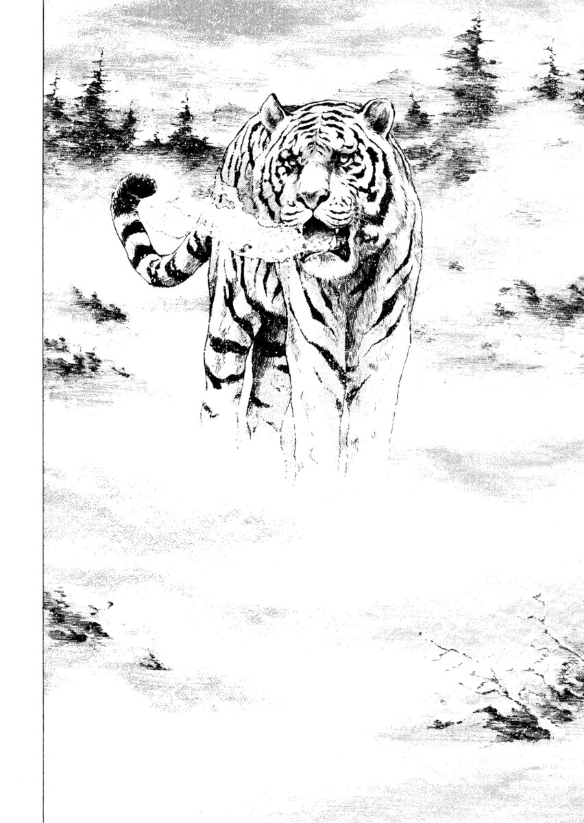 Read Shamo Manga Online