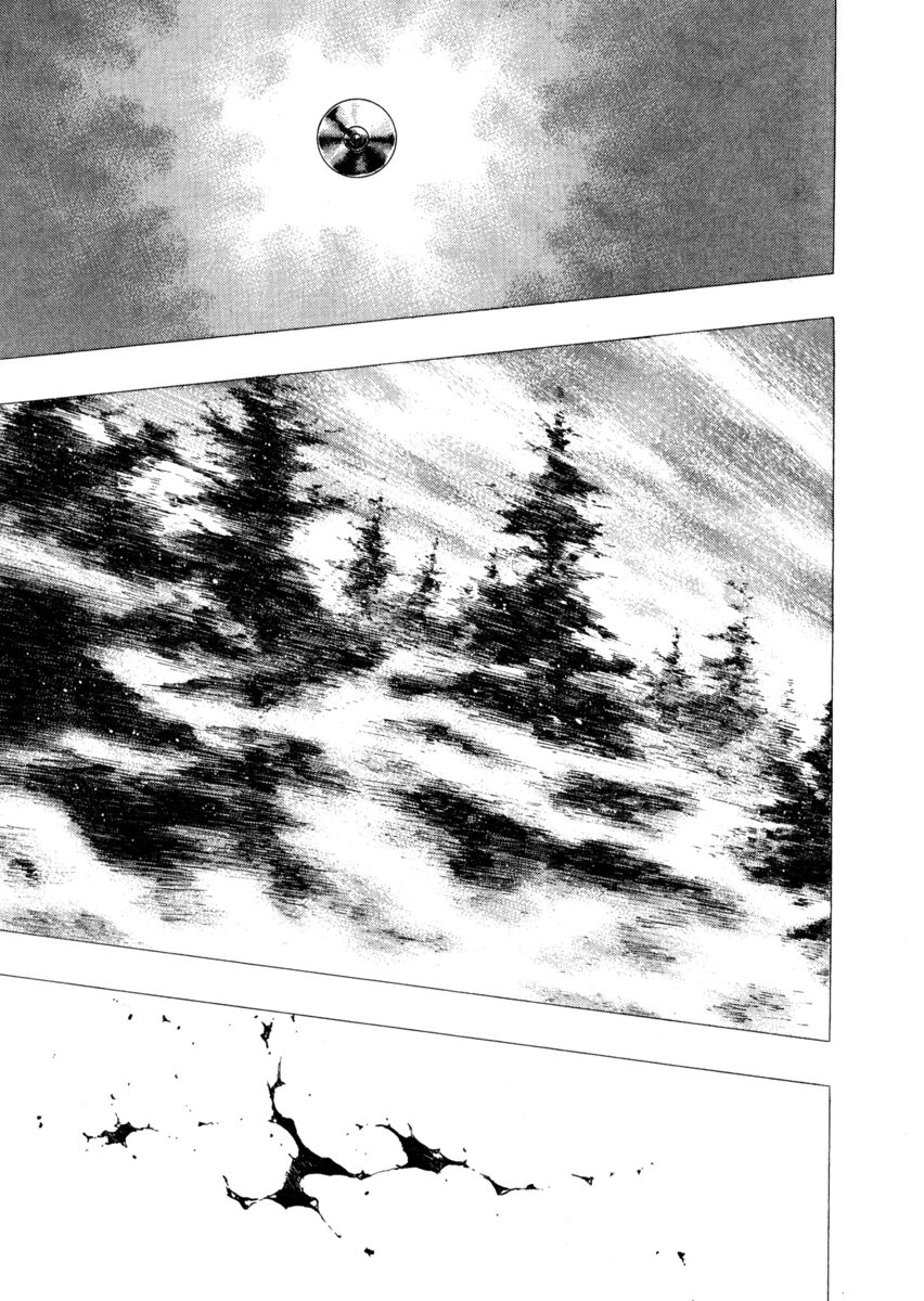 Read Shamo Manga Online