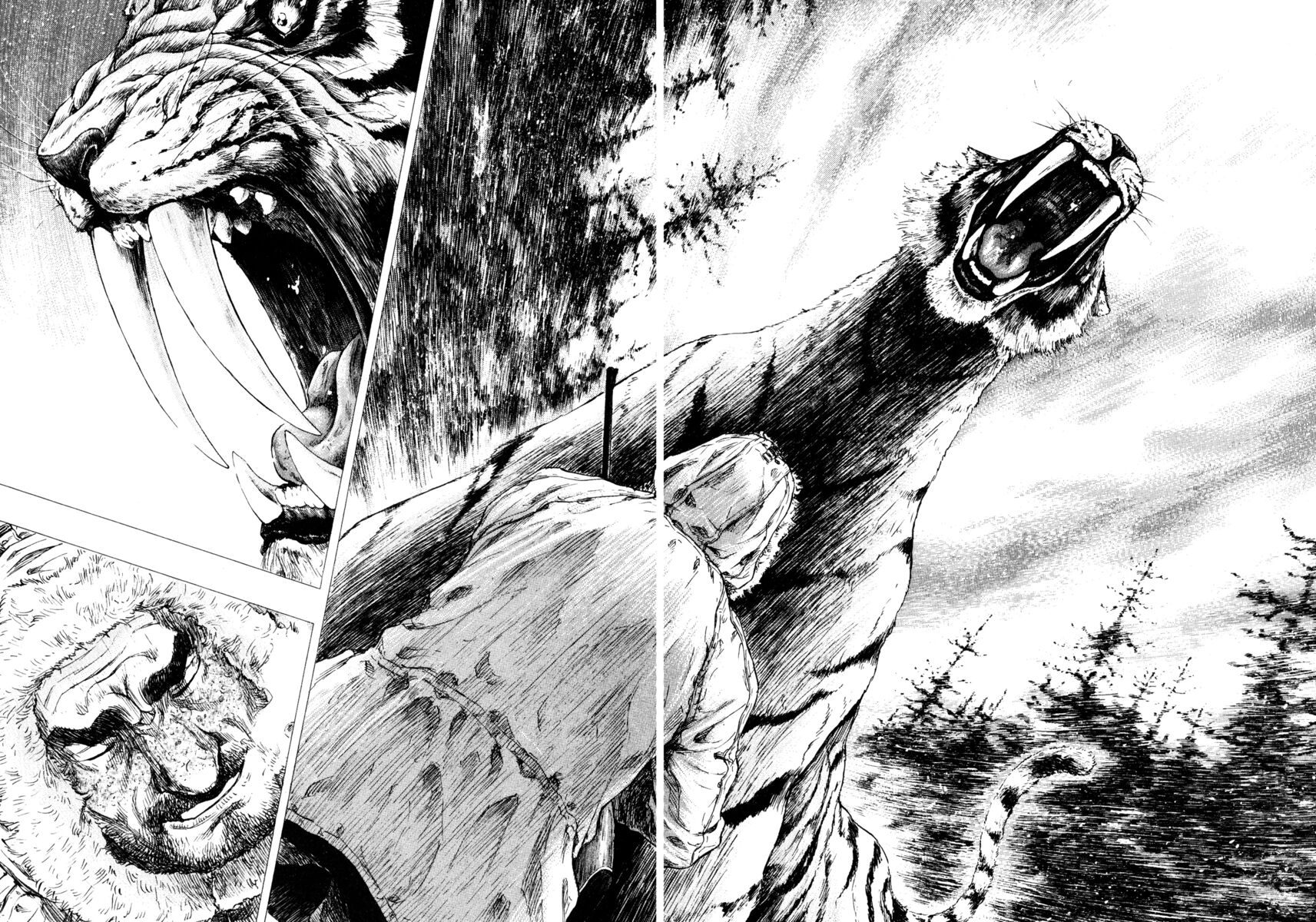 Read Shamo Manga Online