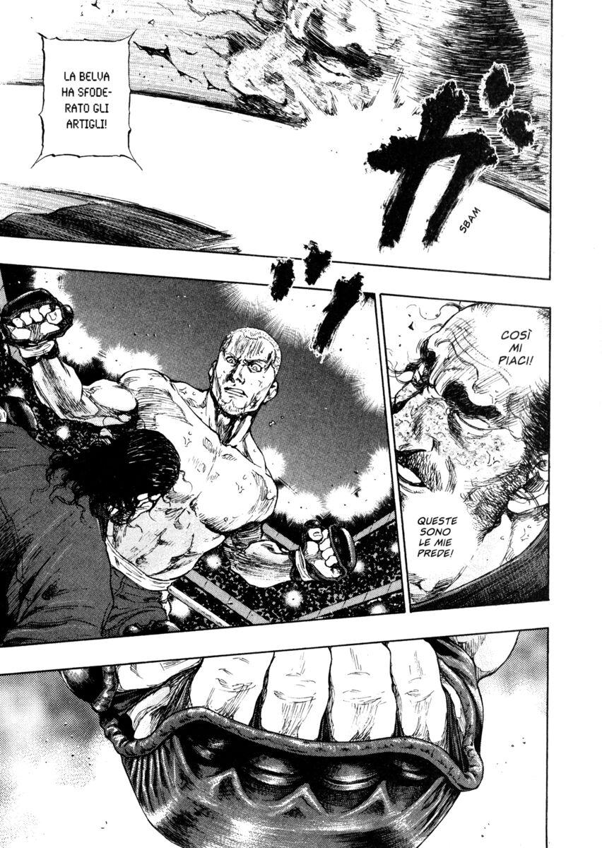 Read Shamo Manga Online