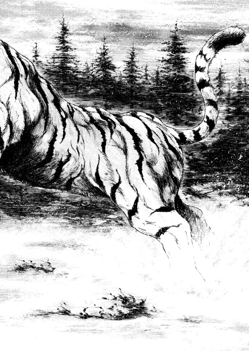 Read Shamo Manga Online