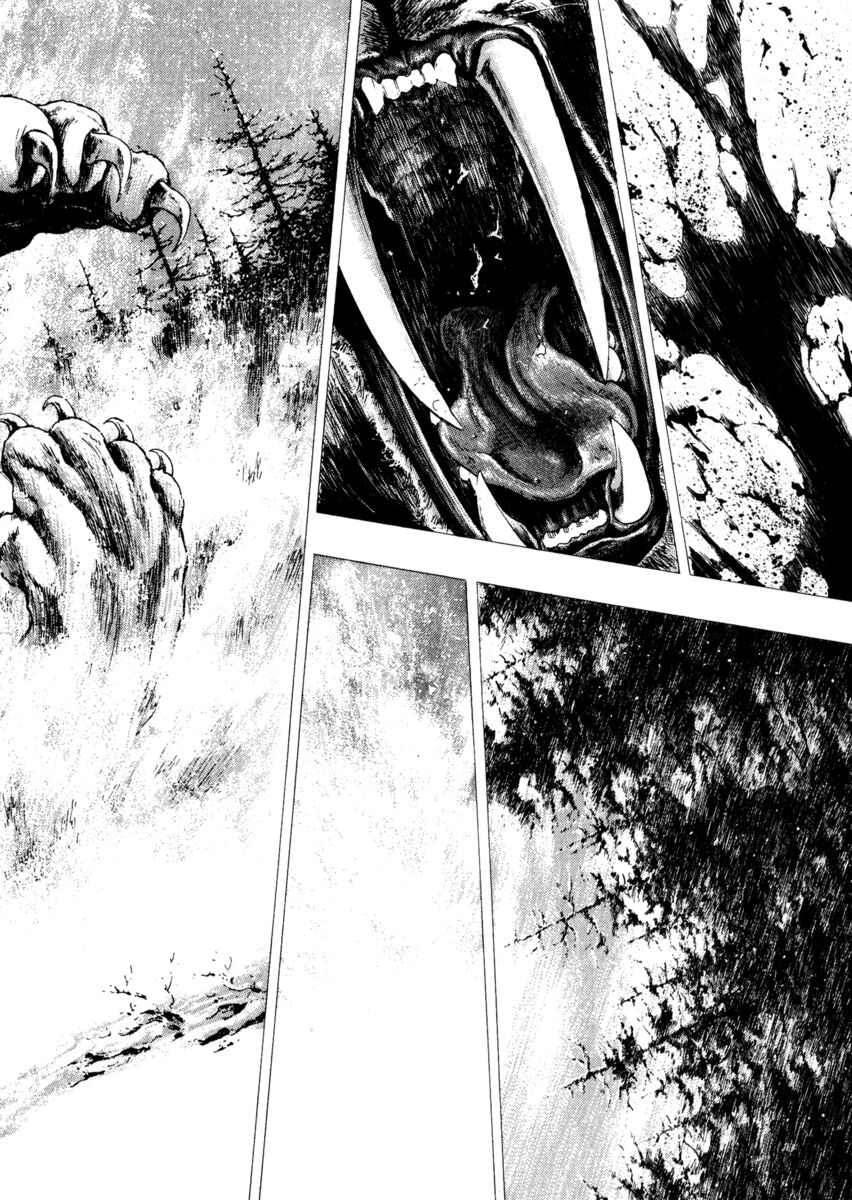 Read Shamo Manga Online