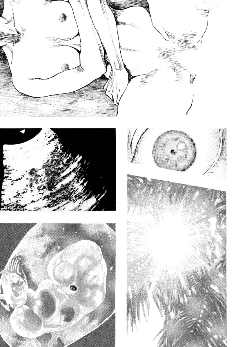 Read Shamo Manga Online