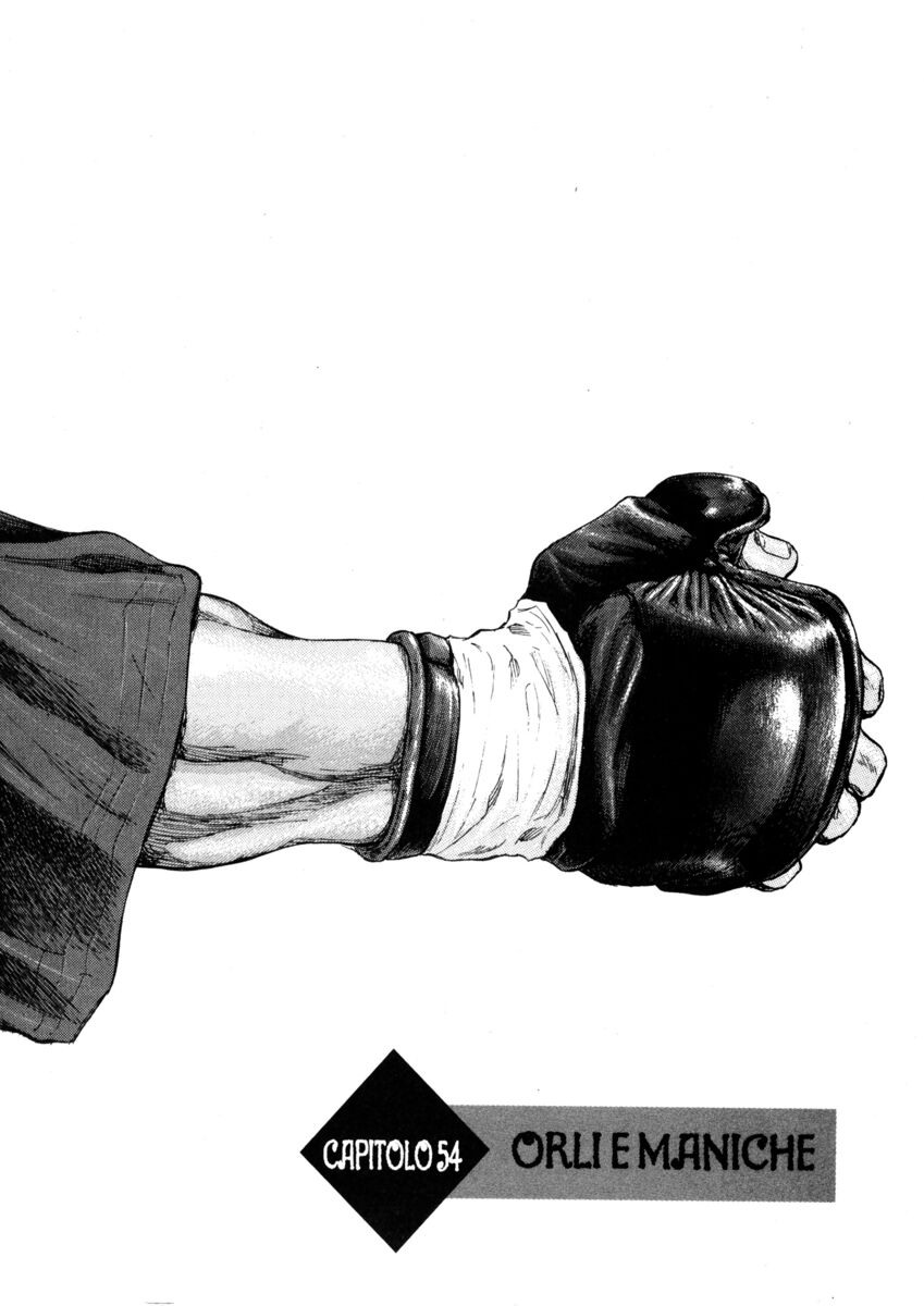 Read Shamo Manga Online