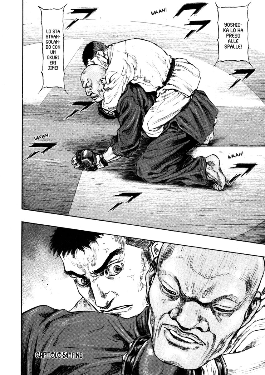 Read Shamo Manga Online