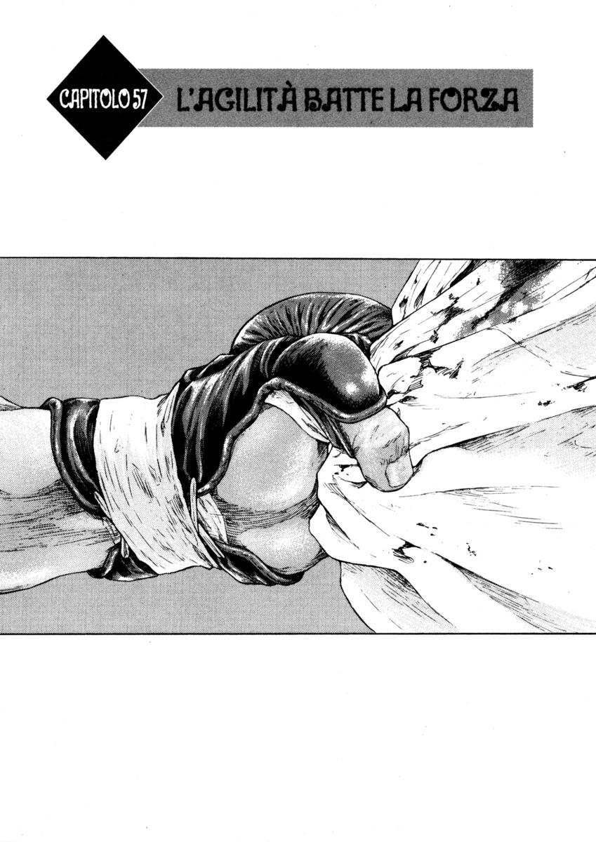 Read Shamo Manga Online