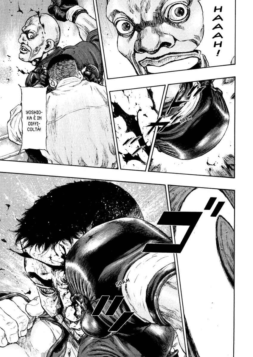 Read Shamo Manga Online