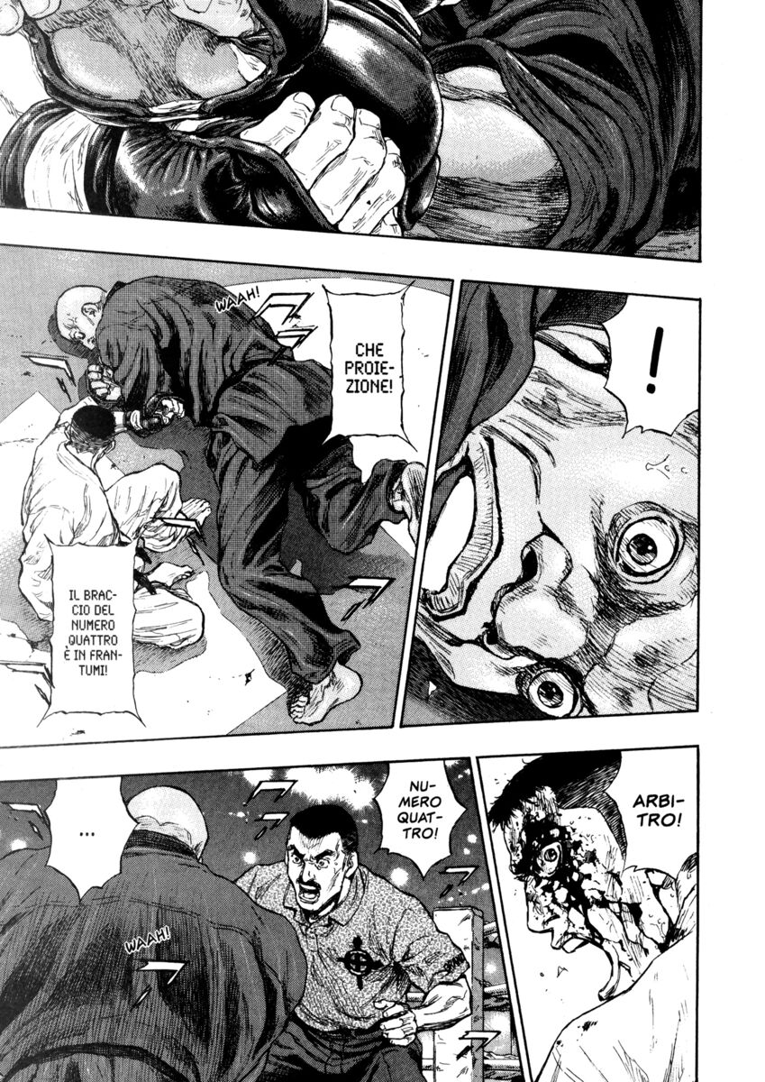 Read Shamo Manga Online