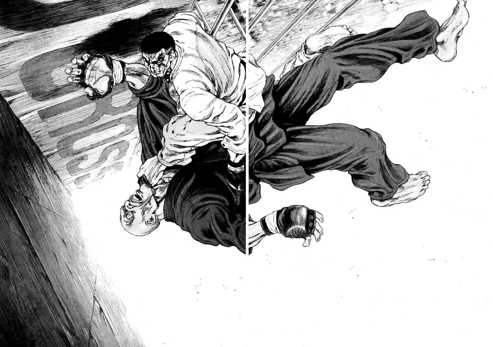 Read Shamo Manga Online