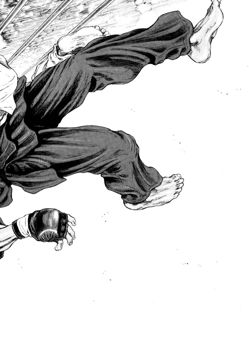 Read Shamo Manga Online