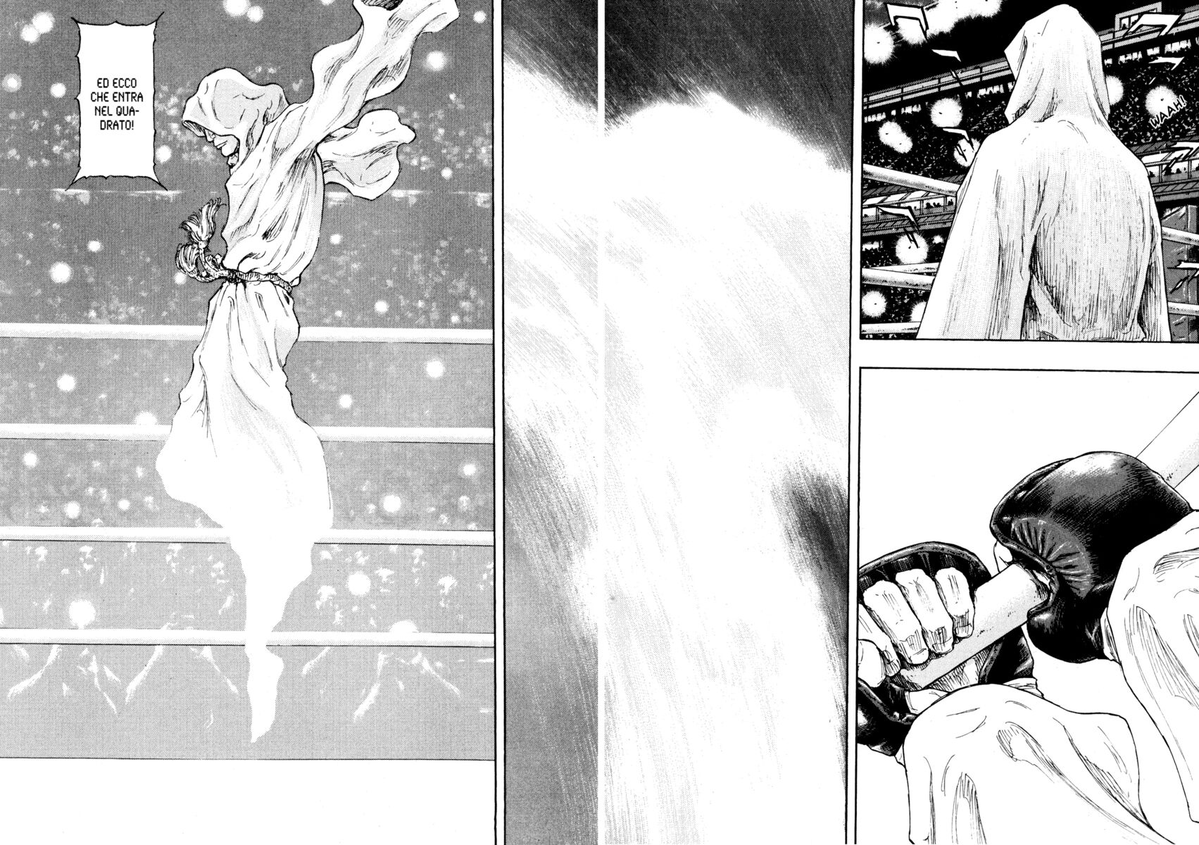 Read Shamo Manga Online