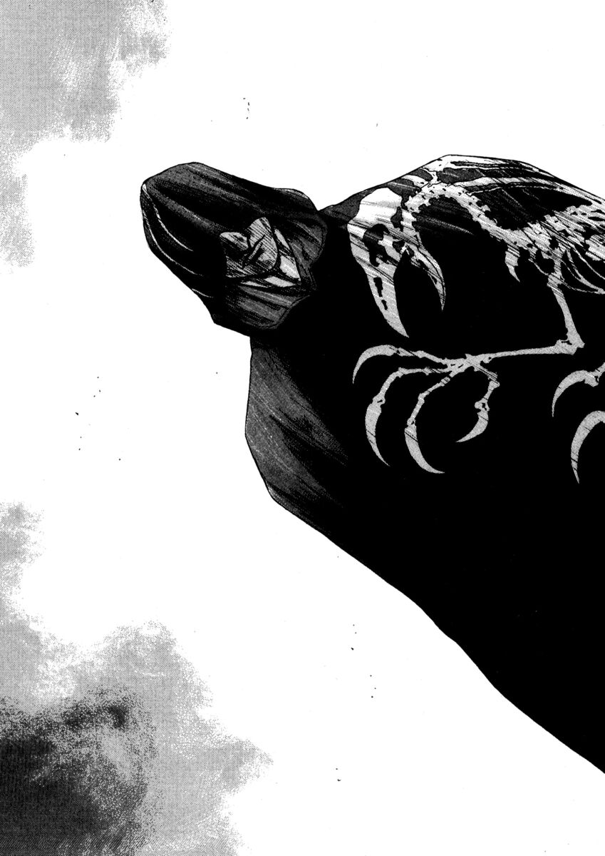 Read Shamo Manga Online