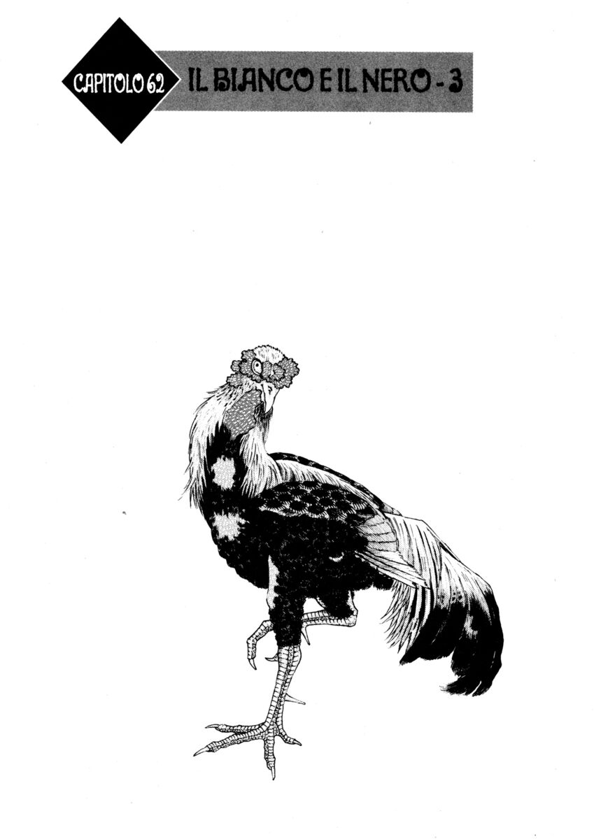 Read Shamo Manga Online