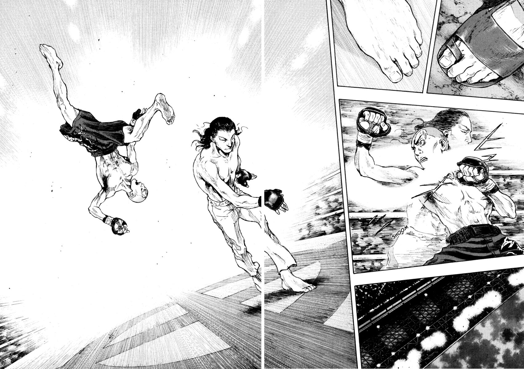 Read Shamo Manga Online