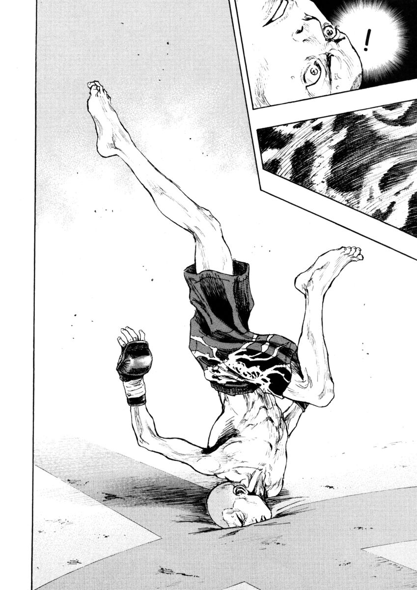 Read Shamo Manga Online