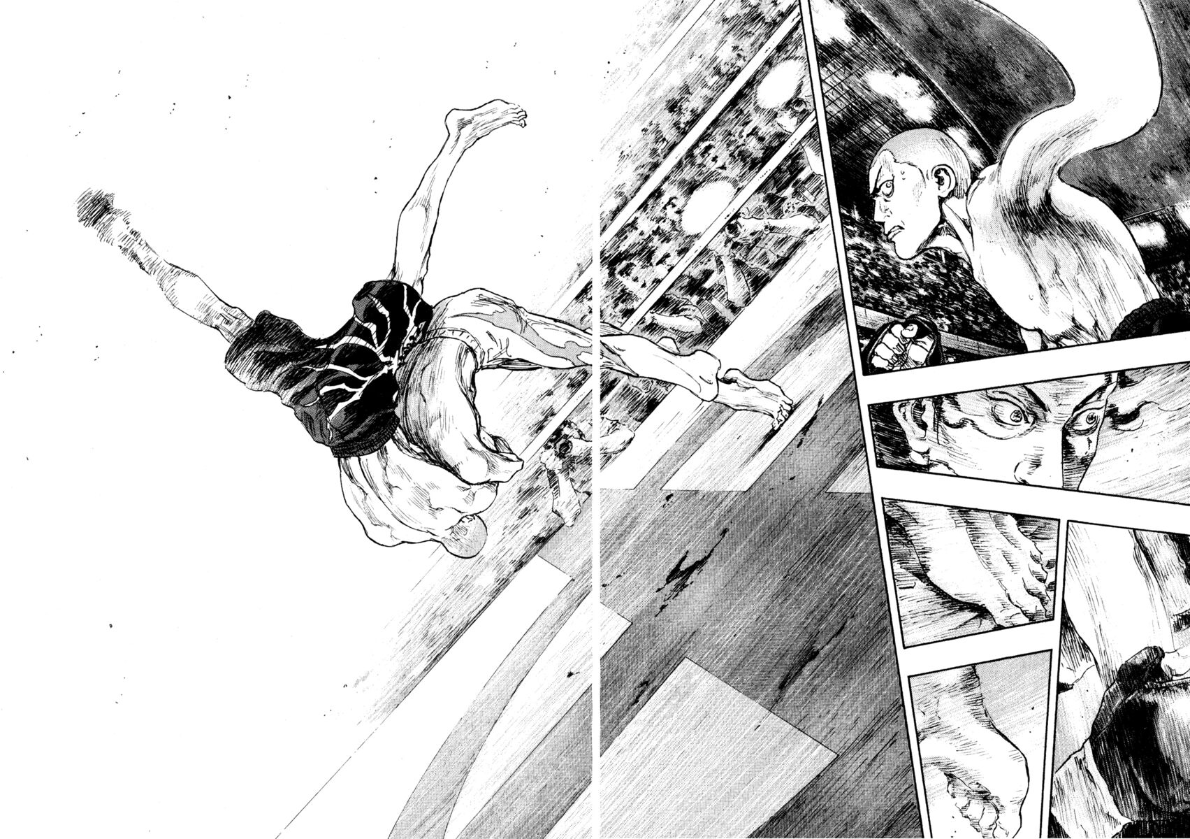 Read Shamo Manga Online