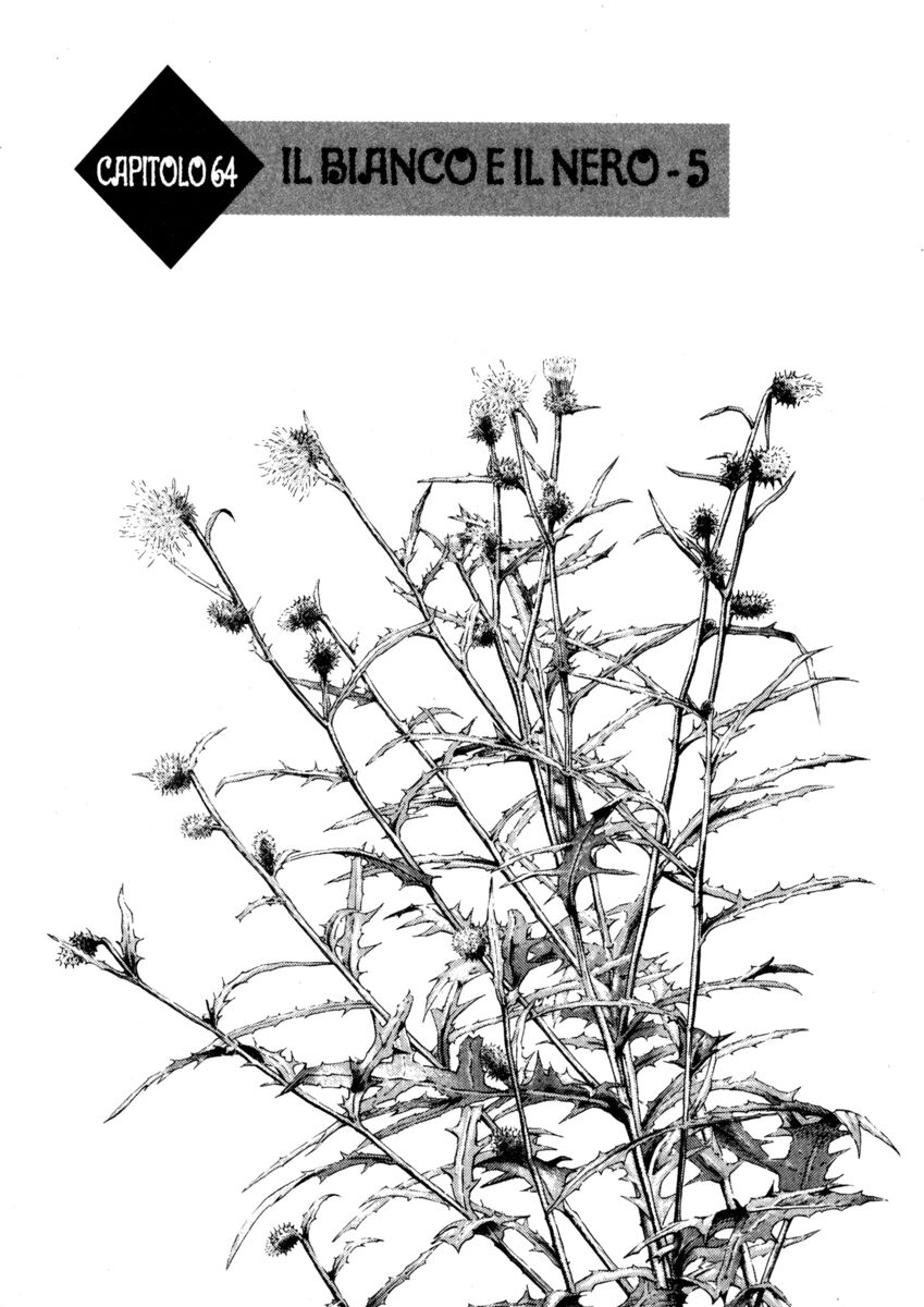 Read Shamo Manga Online