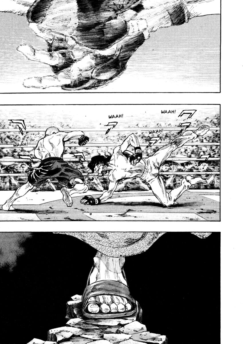 Read Shamo Manga Online