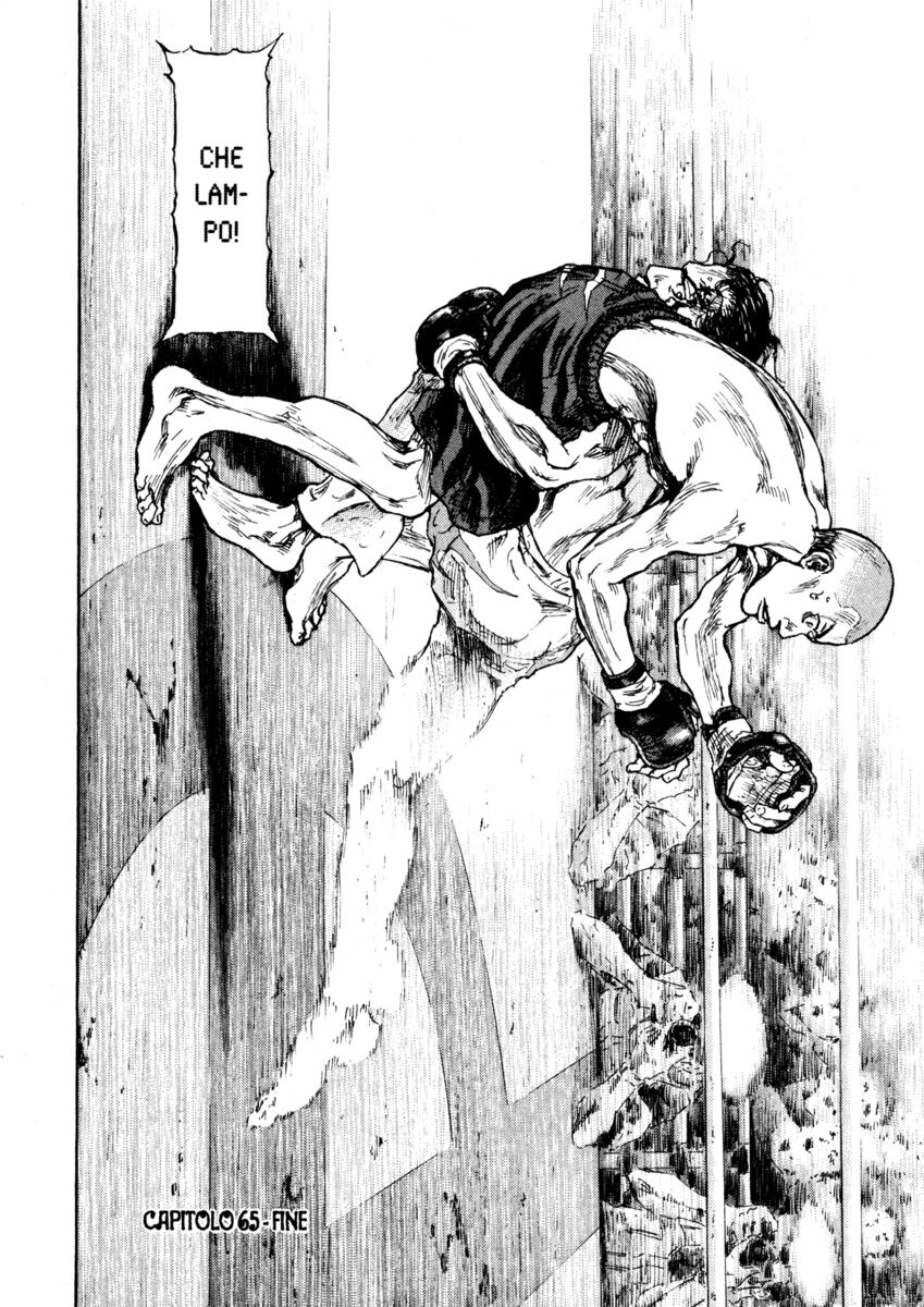 Read Shamo Manga Online