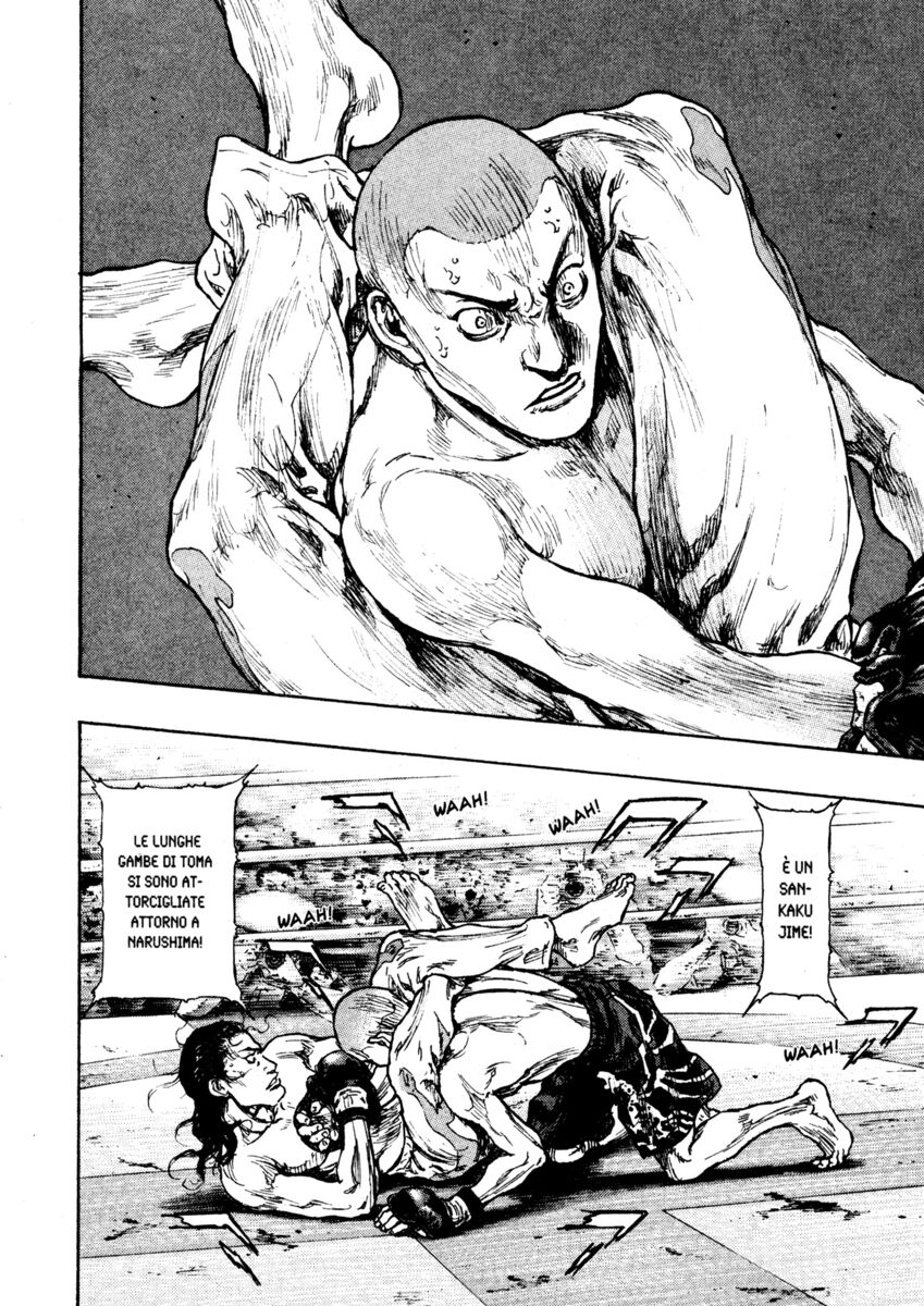 Read Shamo Manga Online