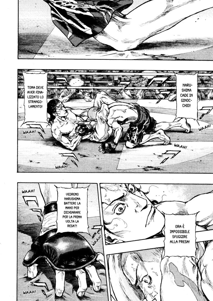 Read Shamo Manga Online