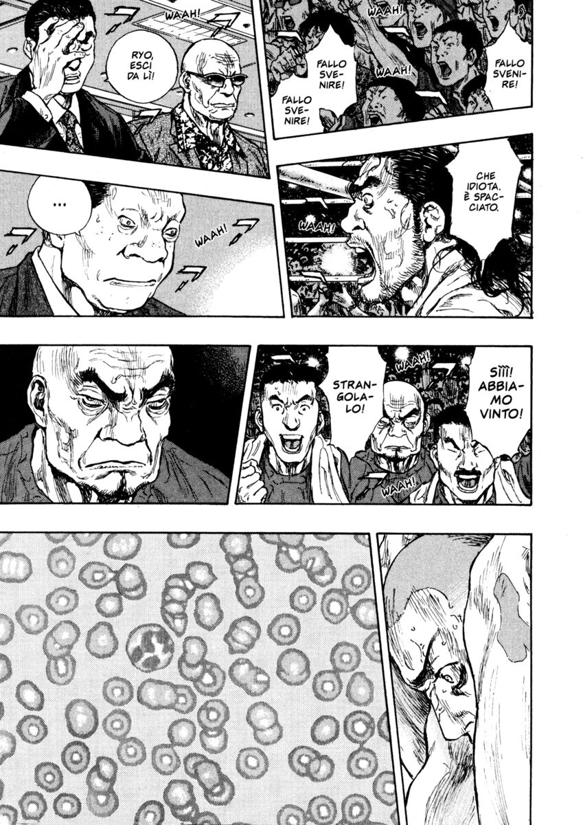 Read Shamo Manga Online