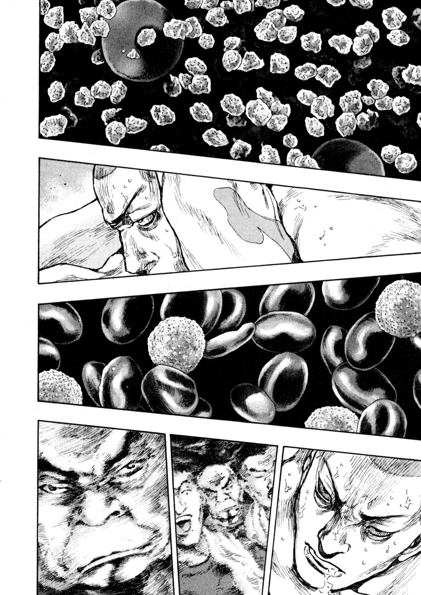 Read Shamo Manga Online