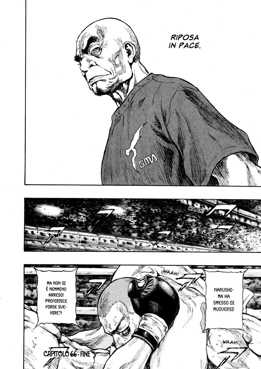 Read Shamo Manga Online