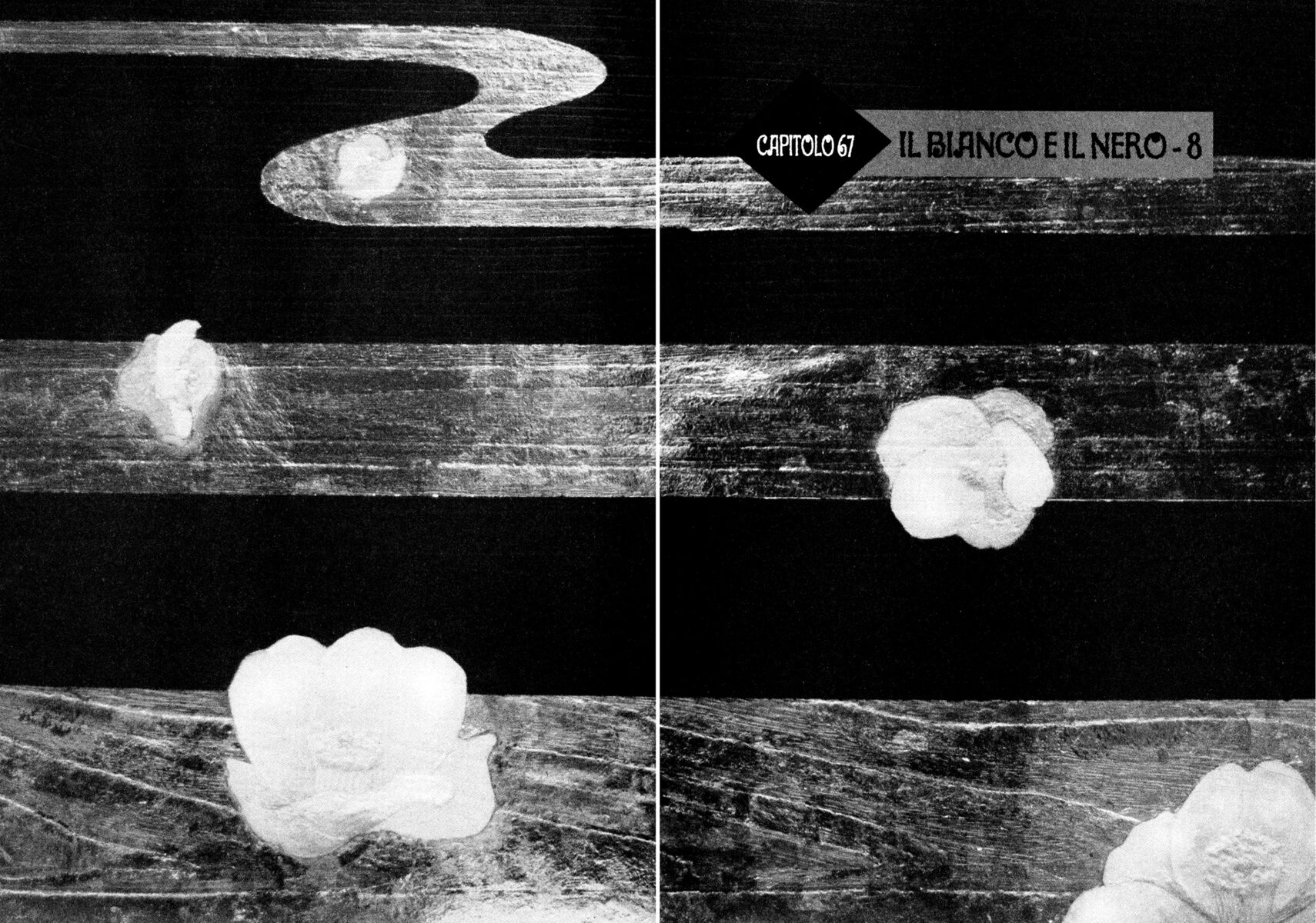 Read Shamo Manga Online