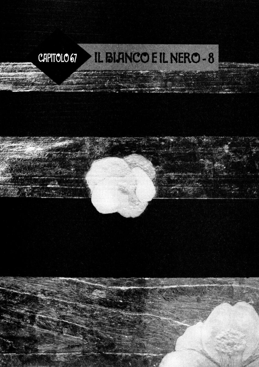 Read Shamo Manga Online