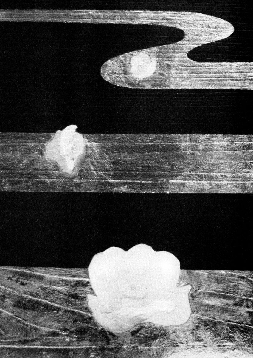 Read Shamo Manga Online