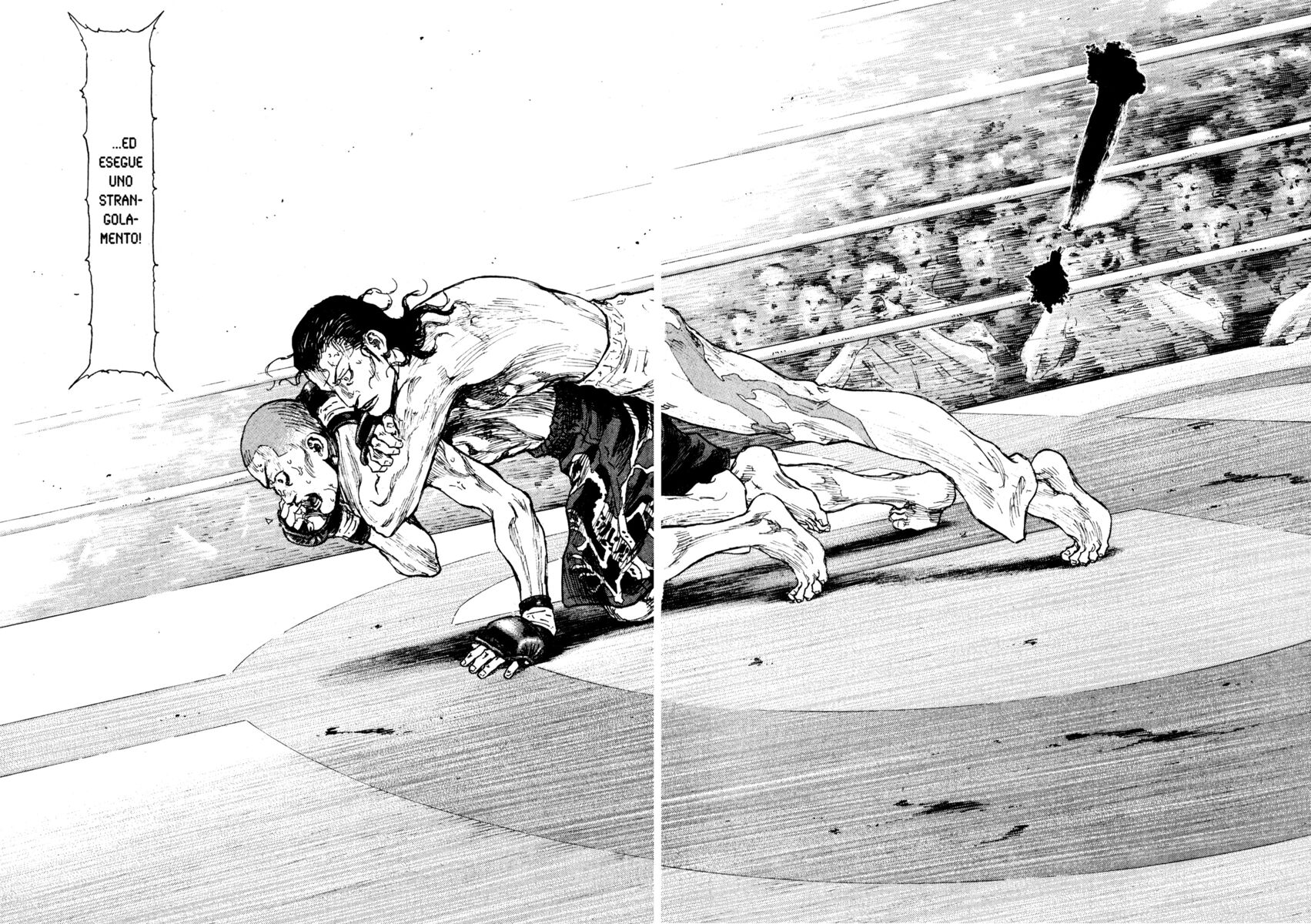 Read Shamo Manga Online