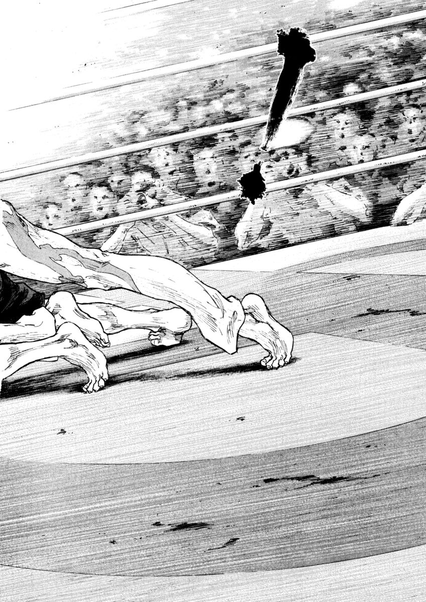 Read Shamo Manga Online