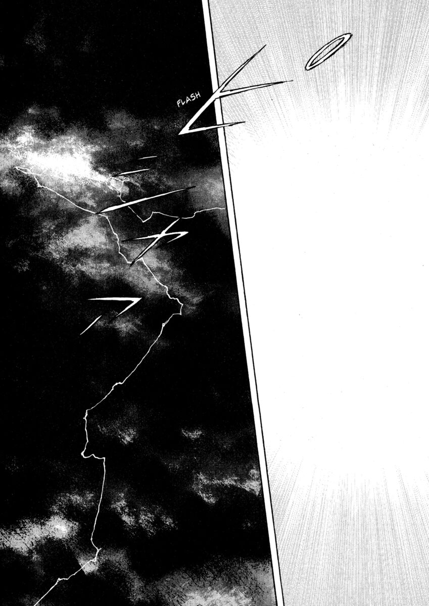 Read Shamo Manga Online