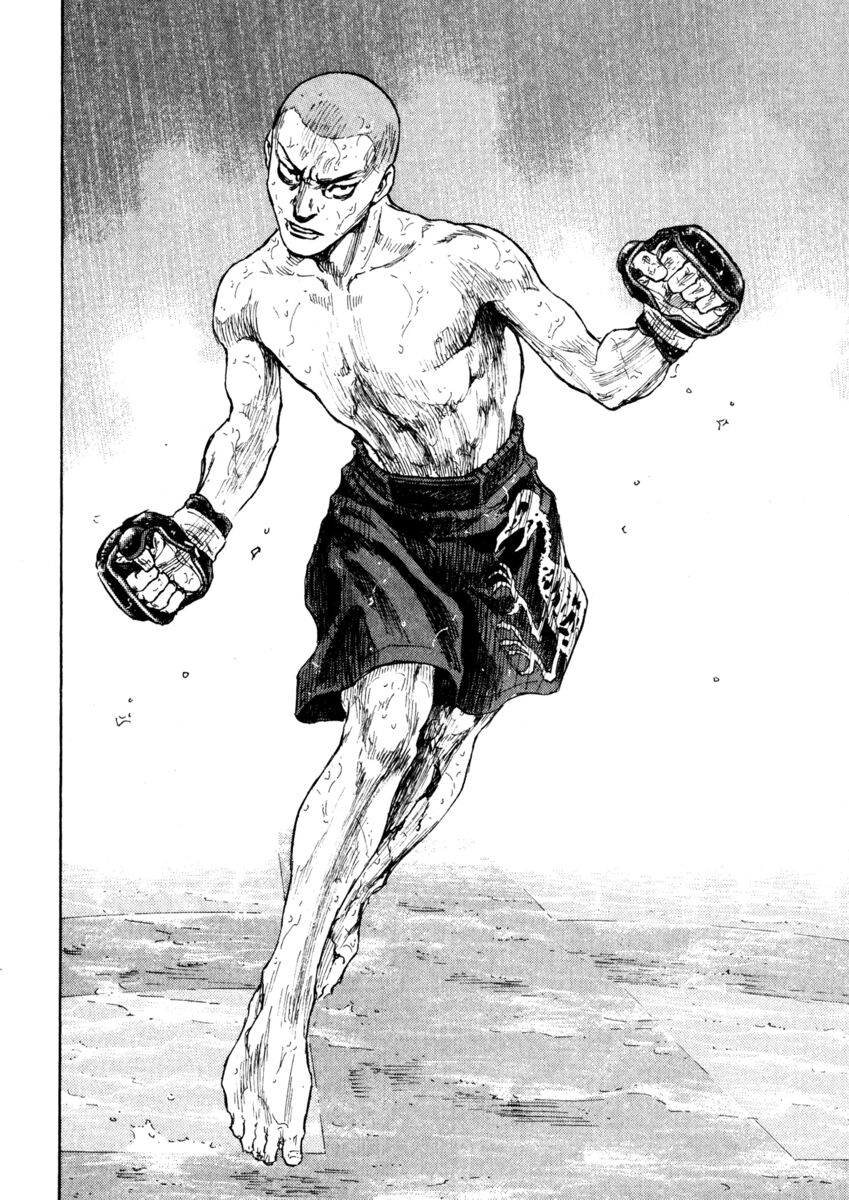 Read Shamo Manga Online