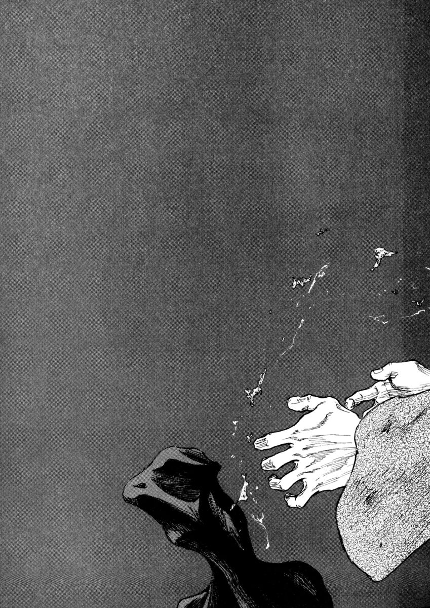 Read Shamo Manga Online