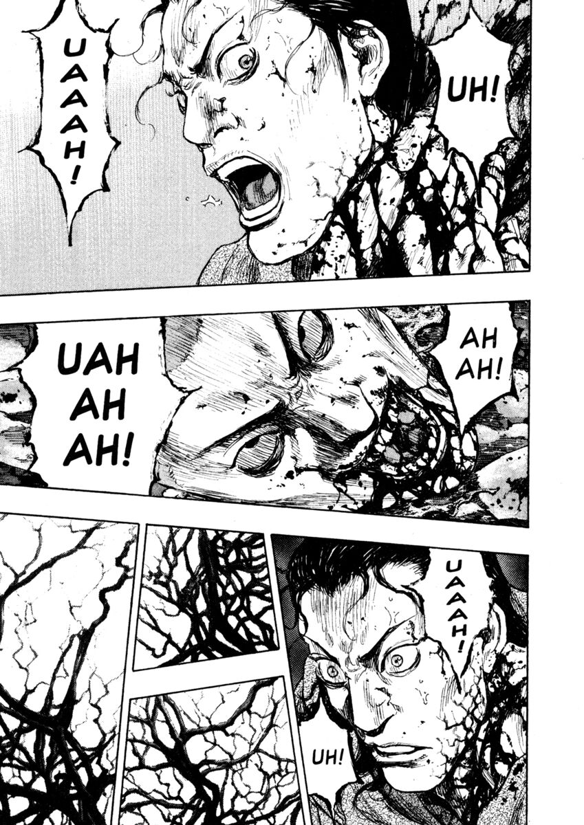 Read Shamo Manga Online