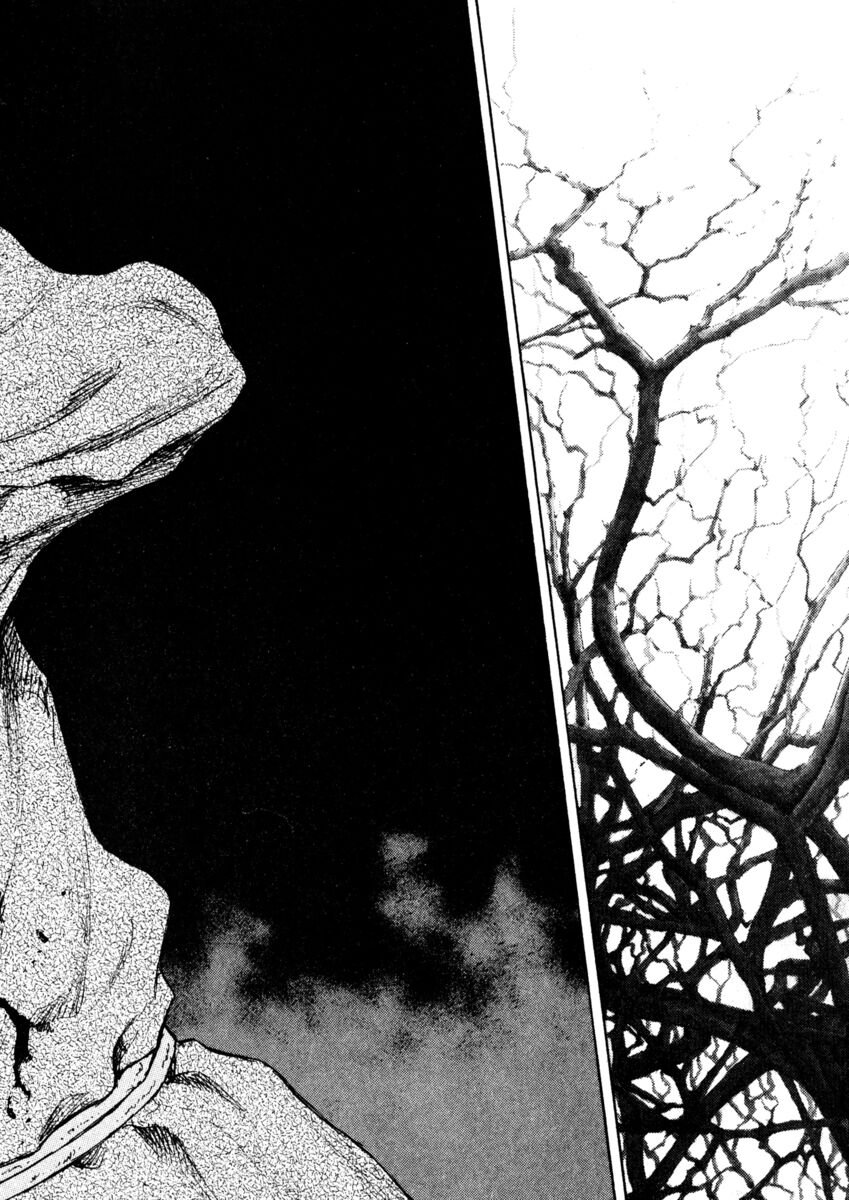 Read Shamo Manga Online