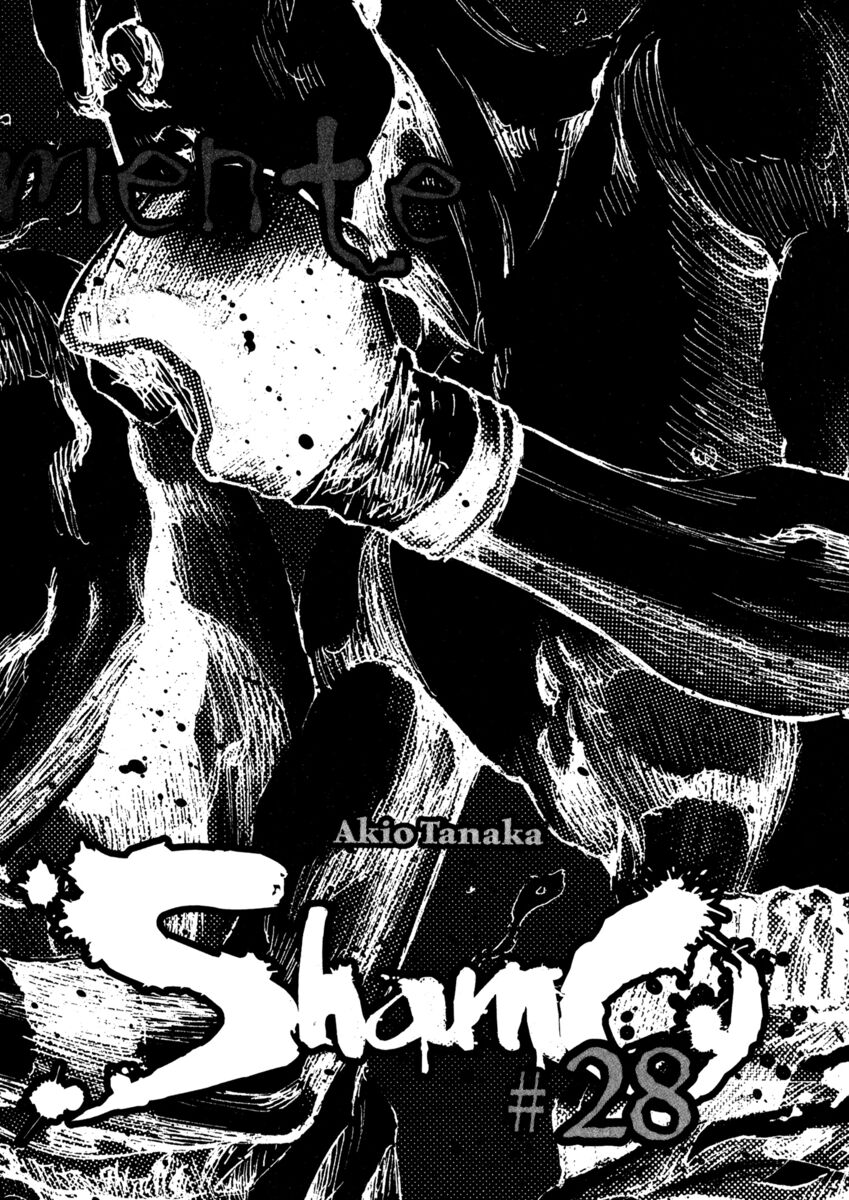 Read Shamo Manga Online