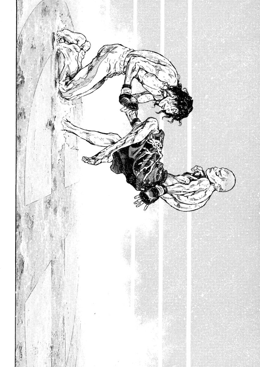 Read Shamo Manga Online