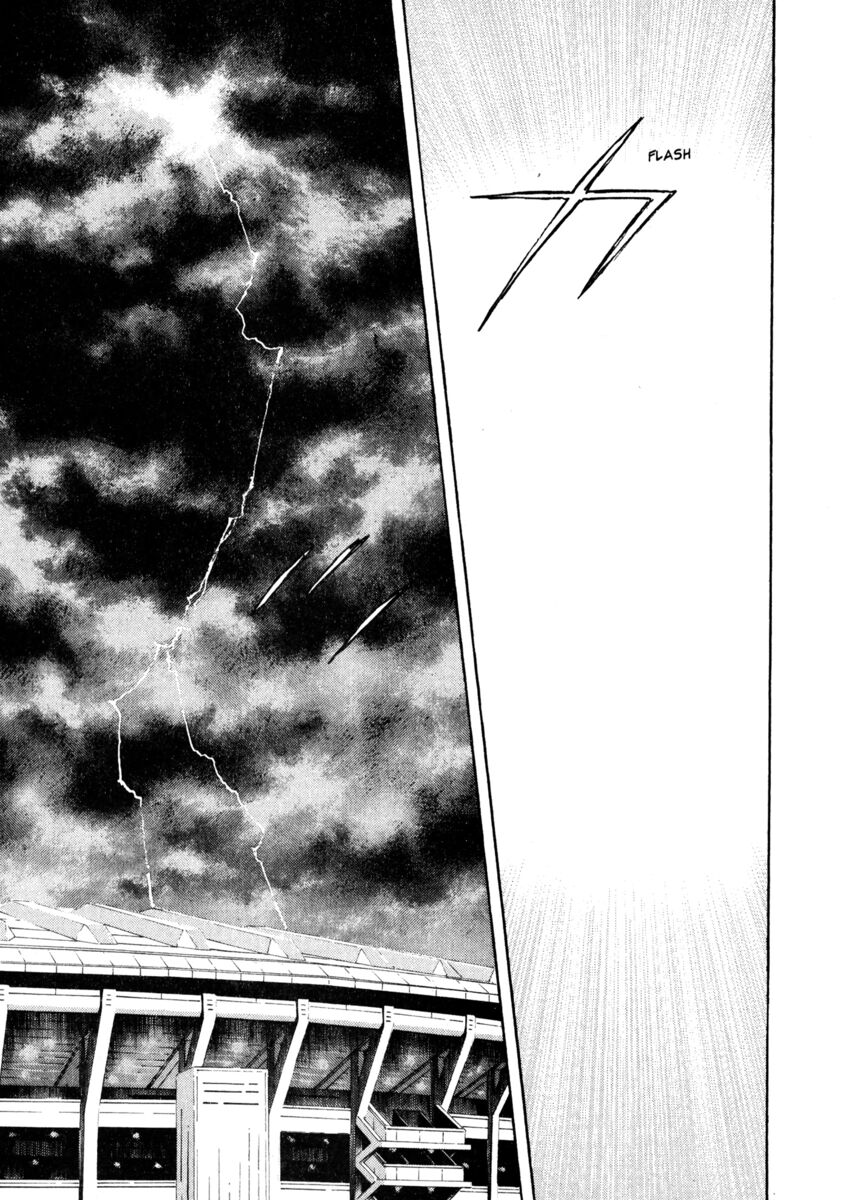 Read Shamo Manga Online