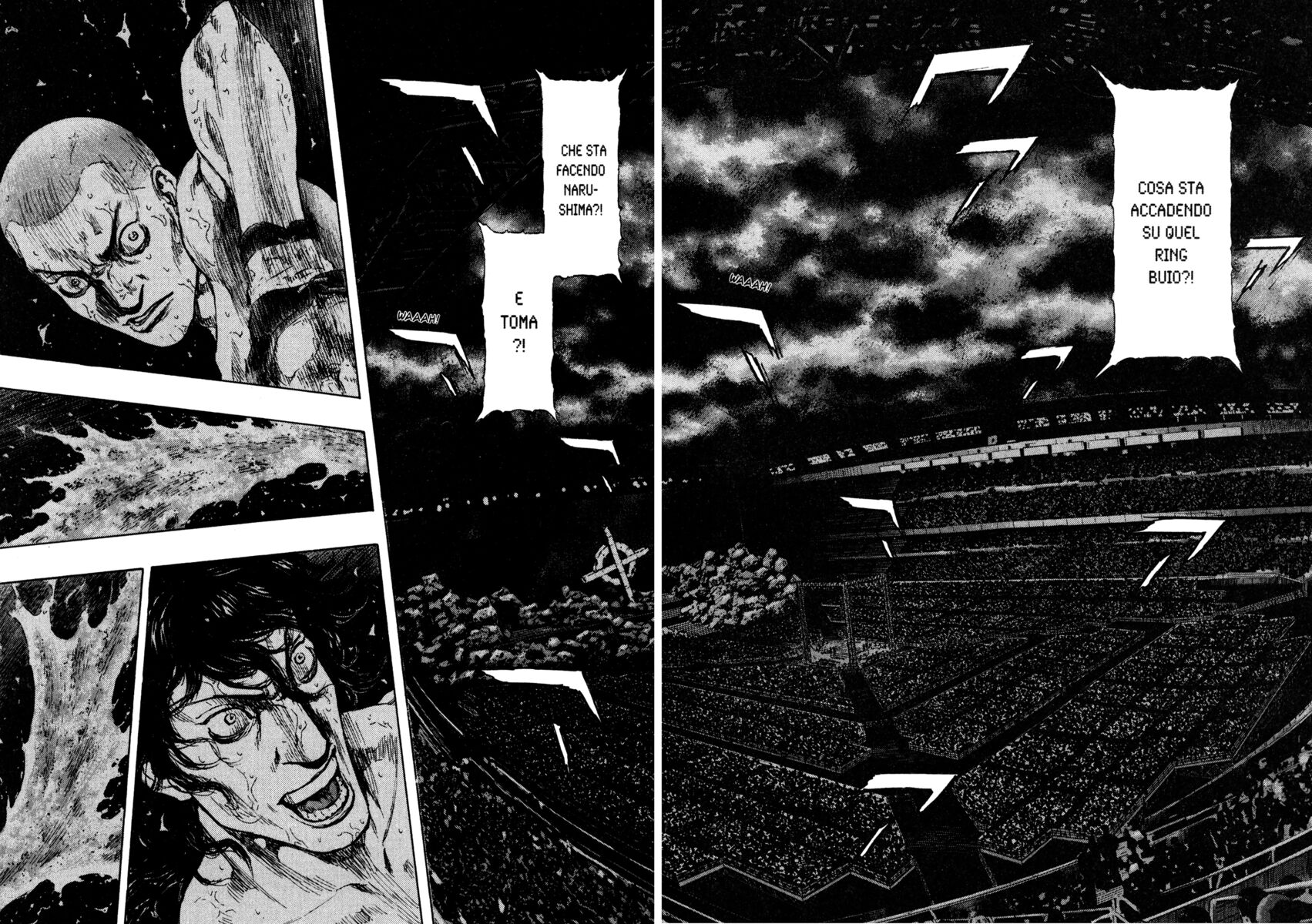 Read Shamo Manga Online