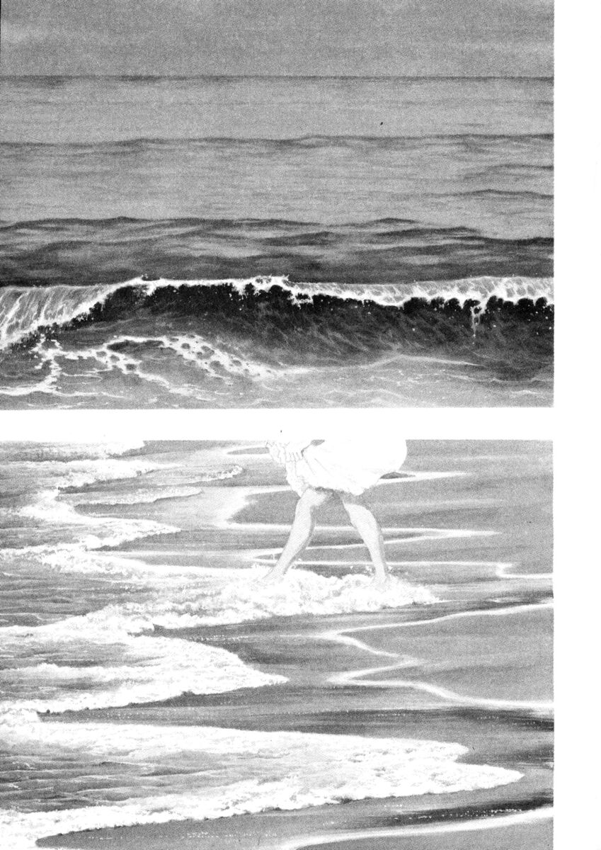 Read Shamo Manga Online