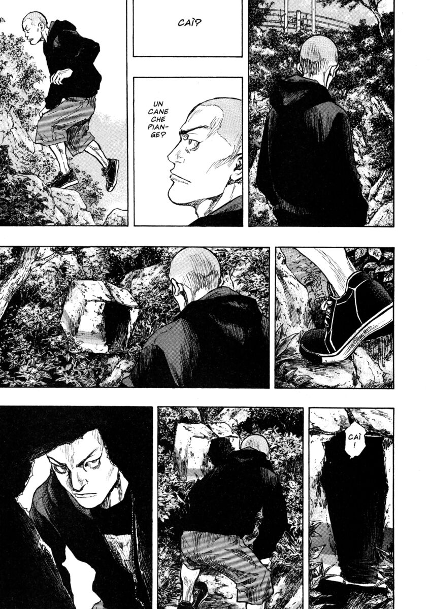 Read Shamo Manga Online