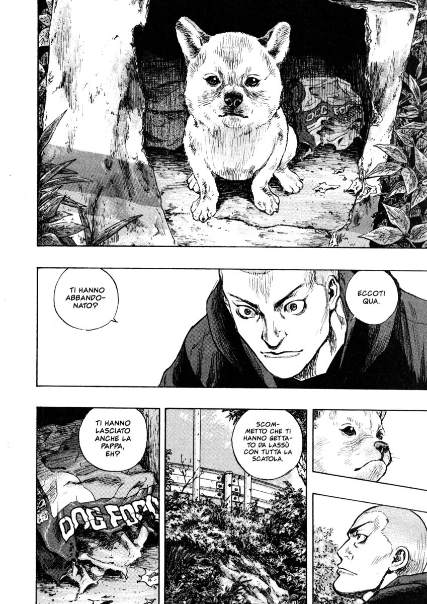 Read Shamo Manga Online